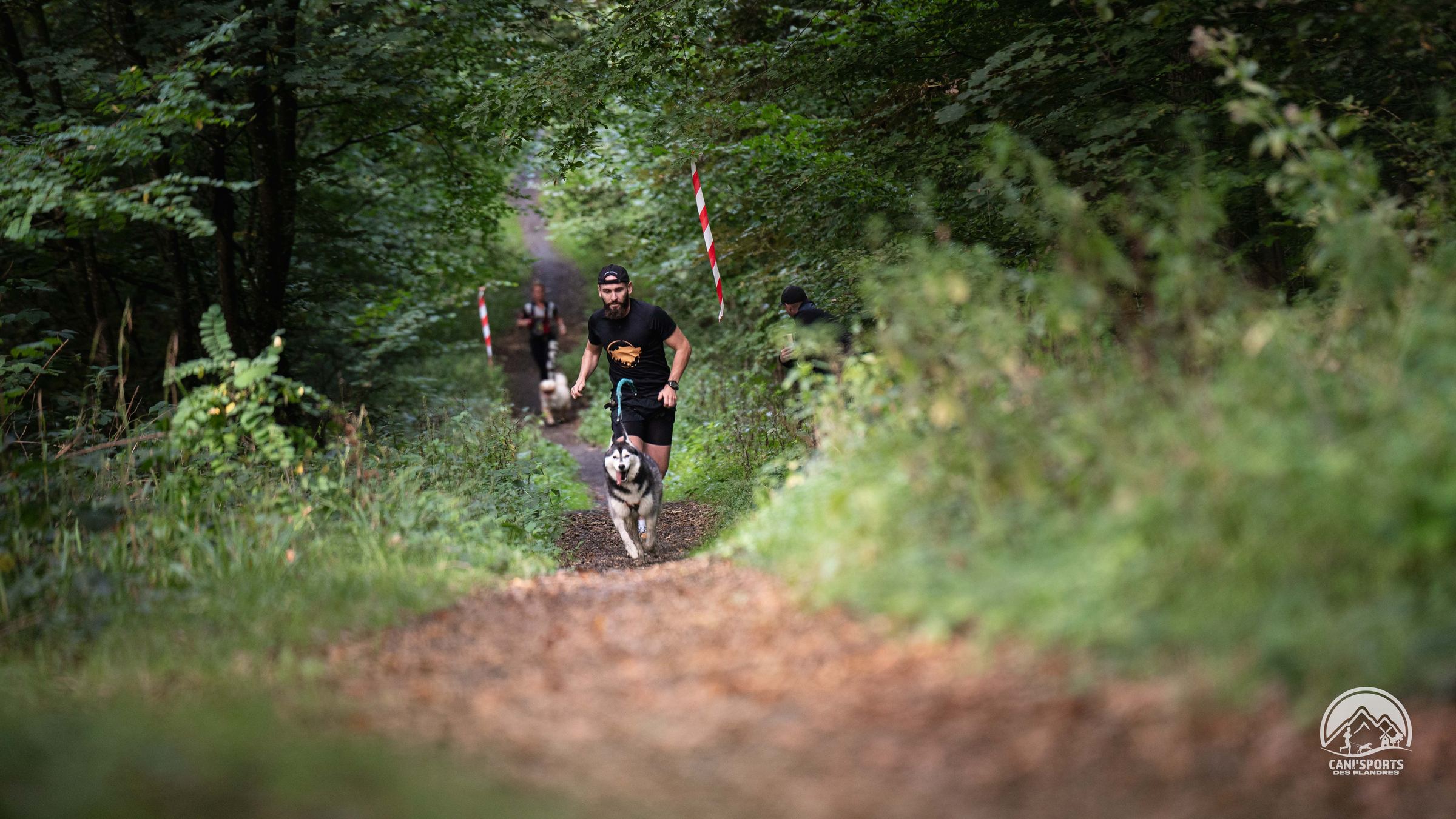 Un coureur et son chien en canicross sur un sentier balisé du Bois des Huit Rues